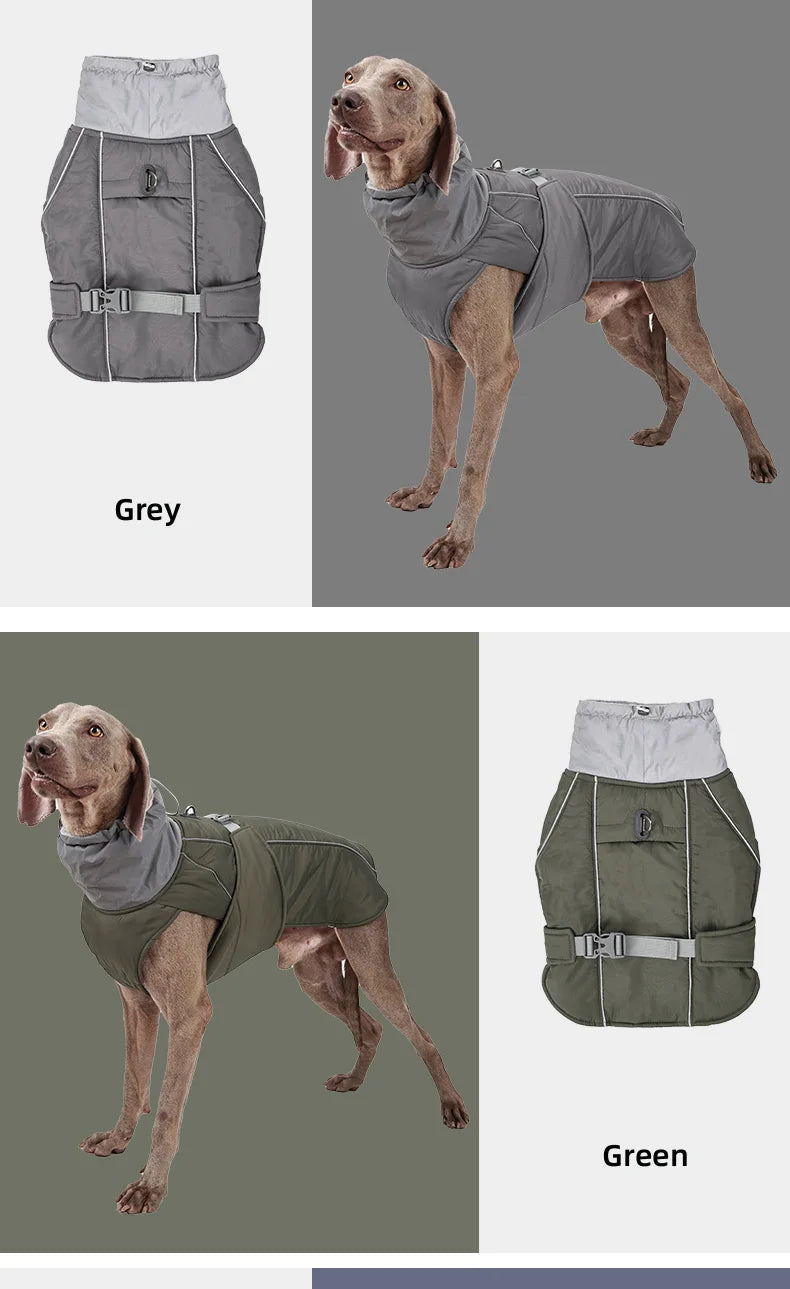 Luxury Classical Polyester Dog Jacket – Warm and Adjustable Winter Coat