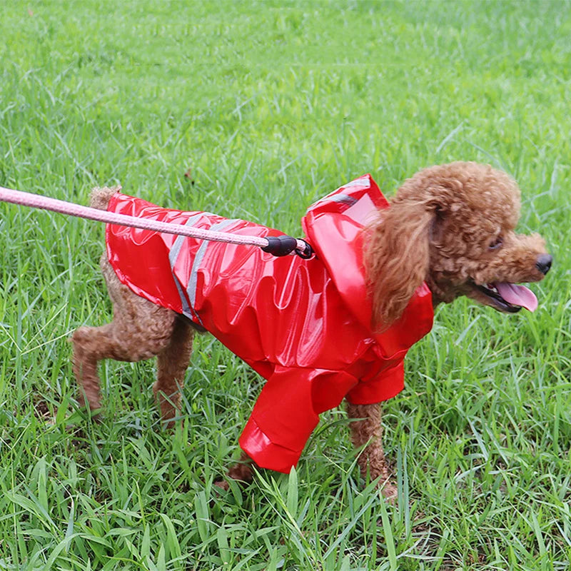 Waterproof Dog Raincoat - Reflective and Comfortable