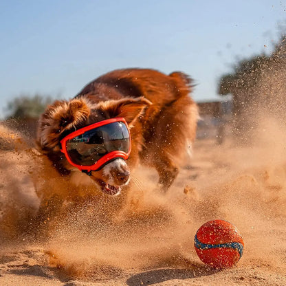 Anti-UV-Sonnenbrille für Hunde