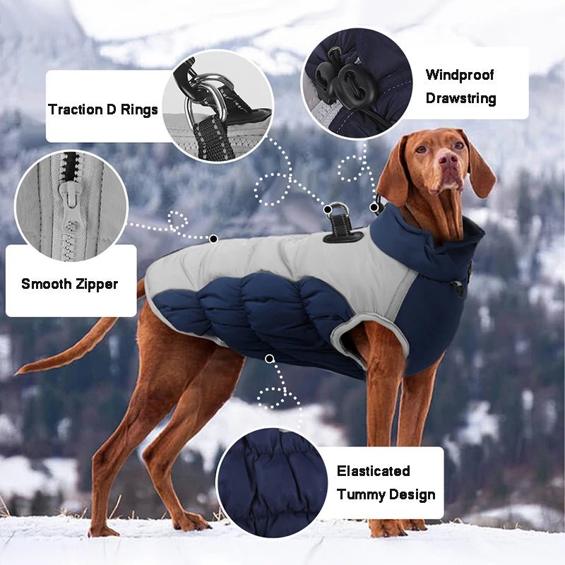 Big Dog Waterproof Winter Jacket