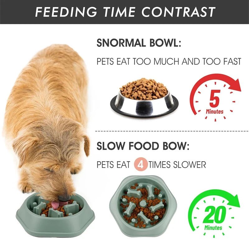 Anti-Choking Slow Feeder Dog Bowl - Promote Healthy Eating for Small Dogs