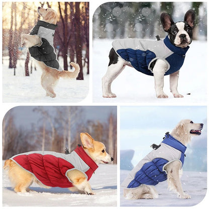 Big Dog Waterproof Winter Jacket