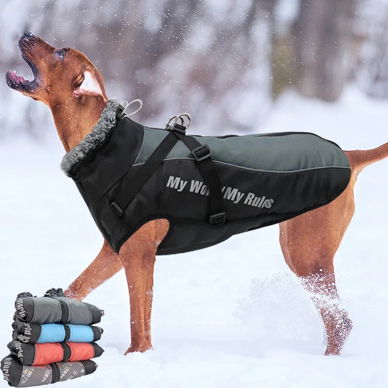 Waterproof Large Dog Coat with Integrated Harness