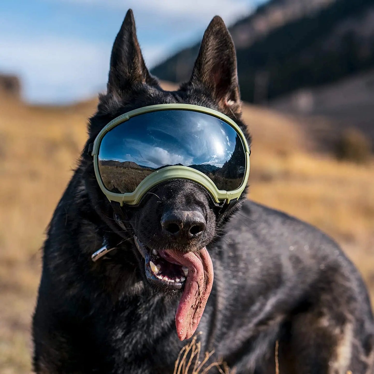 Anti-UV-Sonnenbrille für Hunde