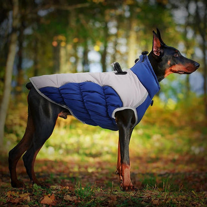 Big Dog Waterproof Winter Jacket