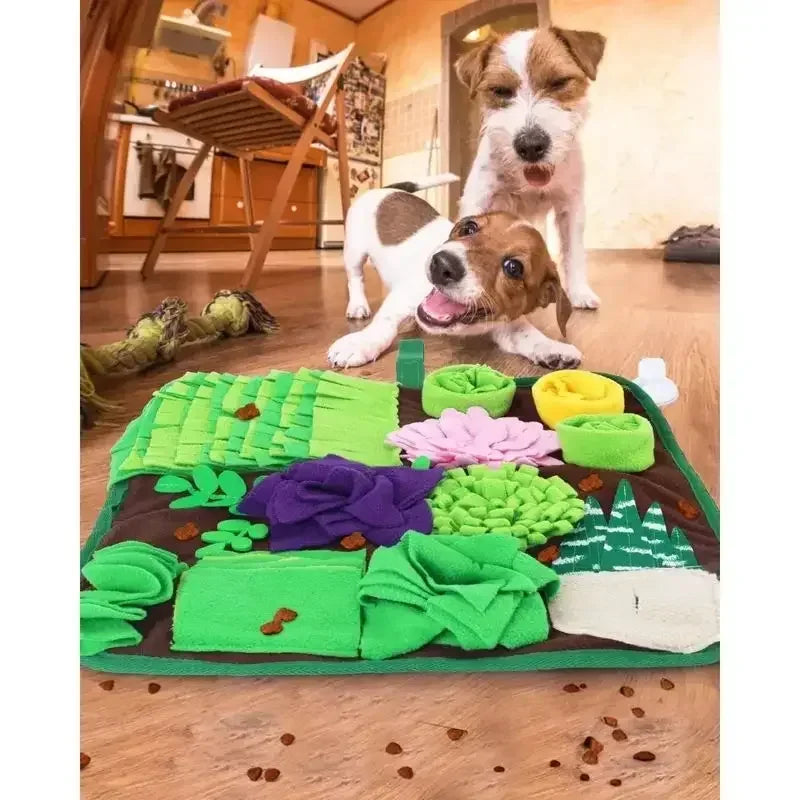 Pet Dogs Snuffle Mat - Interactive Feeding Toy