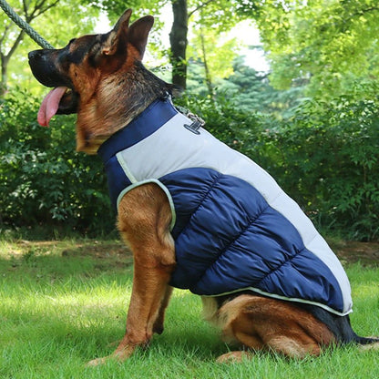 Big Dog Waterproof Winter Jacket