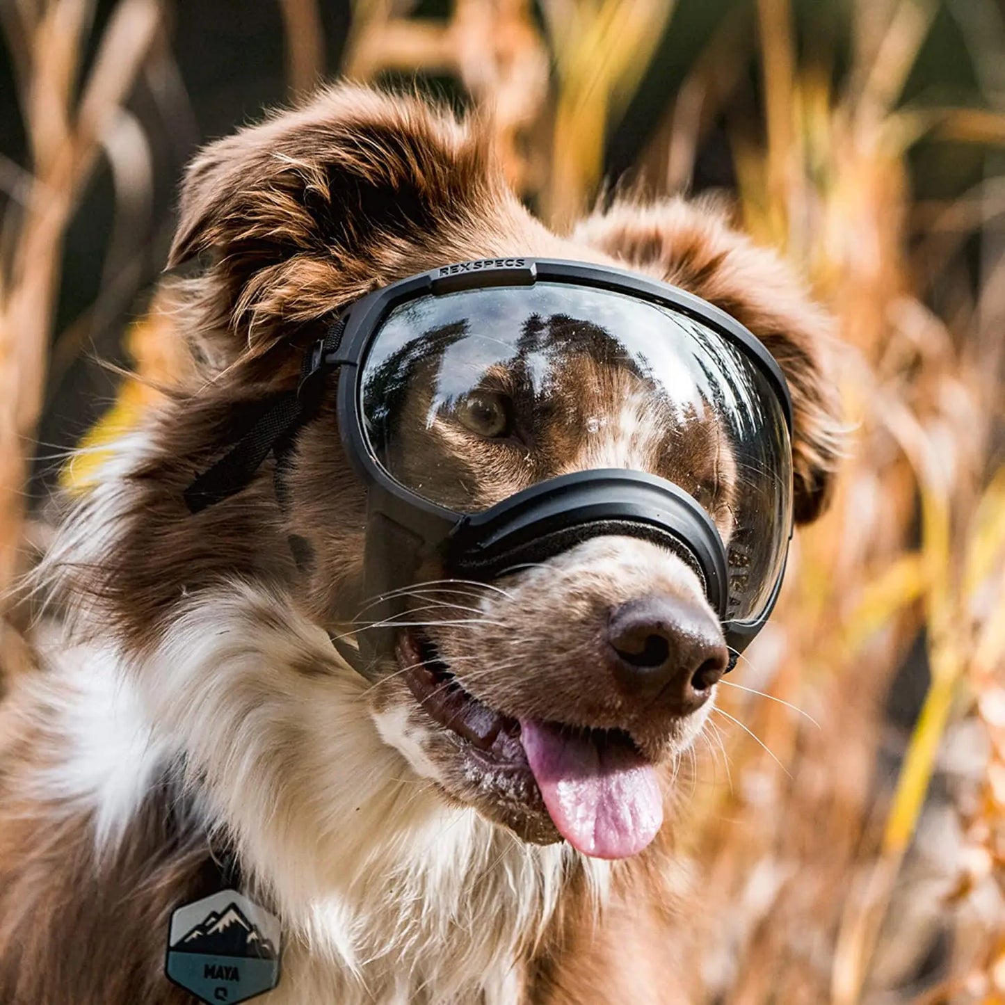 Anti-UV-Sonnenbrille für Hunde