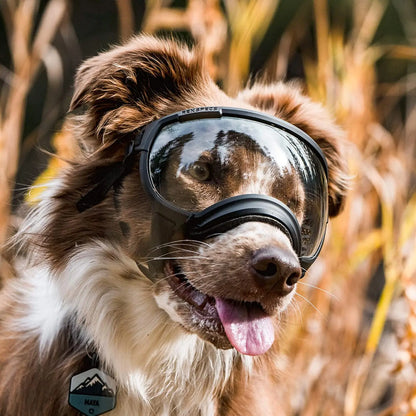 Anti-UV-Sonnenbrille für Hunde