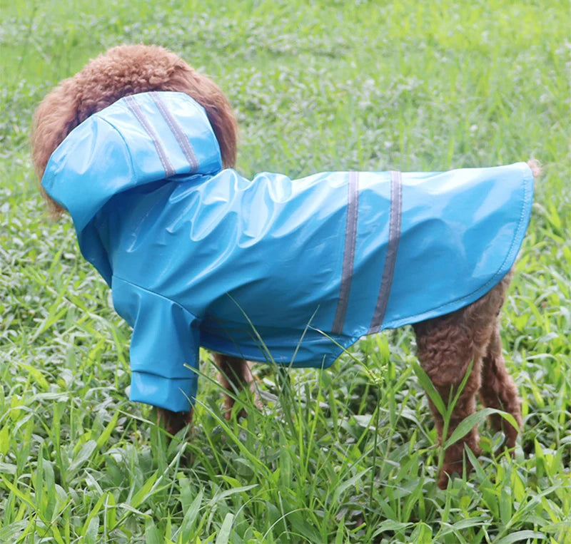 Waterproof Dog Raincoat - Reflective and Comfortable