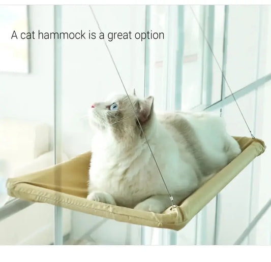 Suction Cup Hanging Cat Hammock