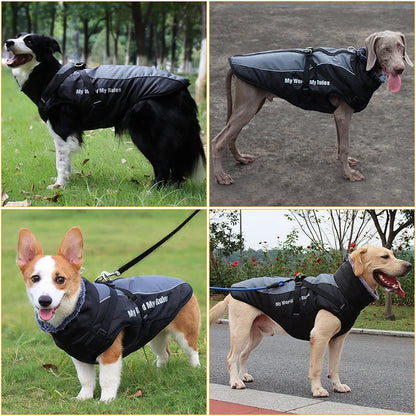 Waterproof Large Dog Coat with Integrated Harness