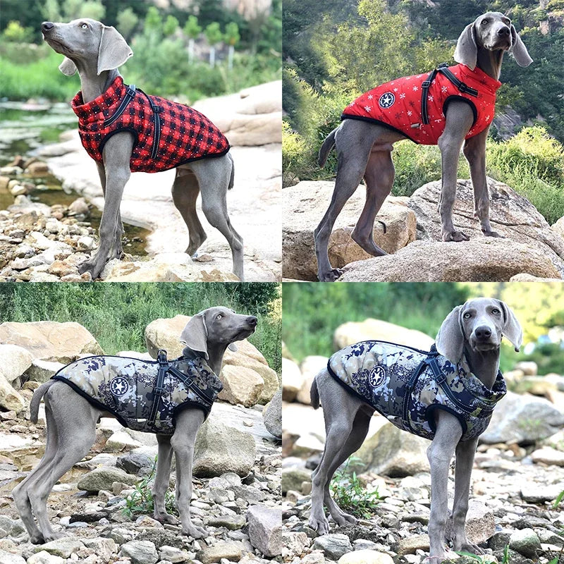 Large Pet Dog  Winter Jacket With Harness