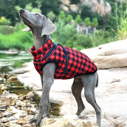 Large Pet Dog  Winter Jacket With Harness