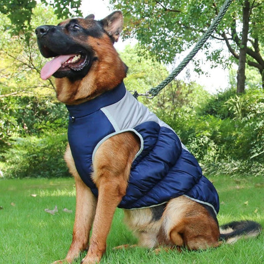 Big Dog Waterproof Winter Jacket