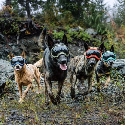 Anti-UV-Sonnenbrille für Hunde