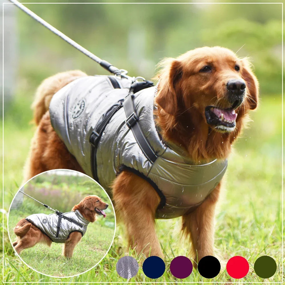 Large Pet Dog  Winter Jacket With Harness