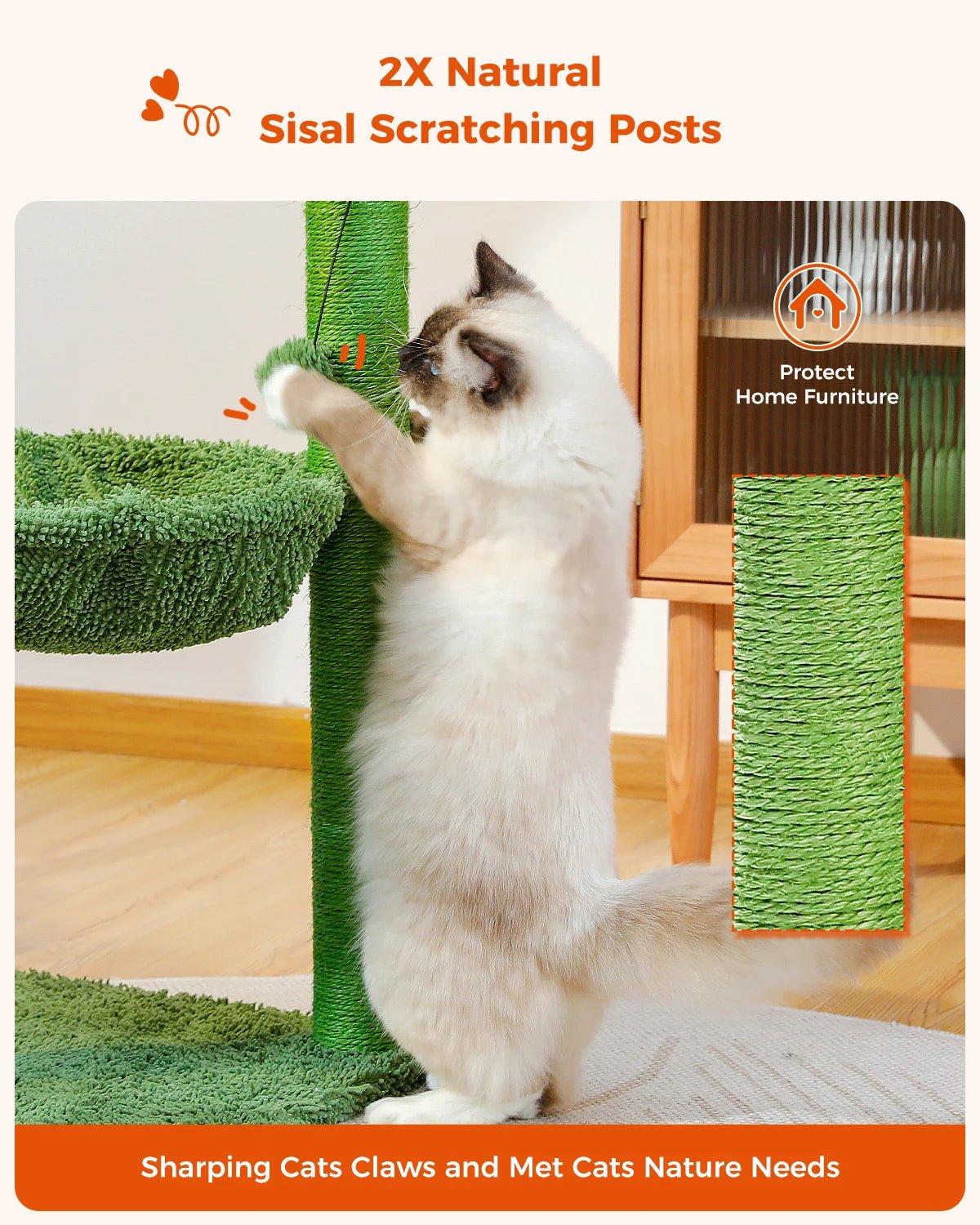 Best Cat Tree Tower Furniture with Hammock Small Cactus