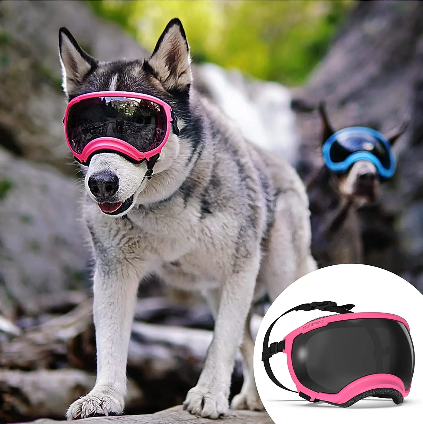 Anti-UV-Sonnenbrille für Hunde