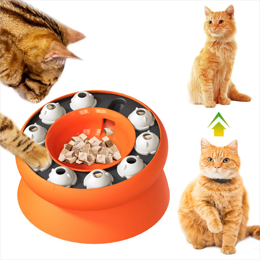 2 in 1 Cat Puzzle Feeder & Slow Feeder Bowl