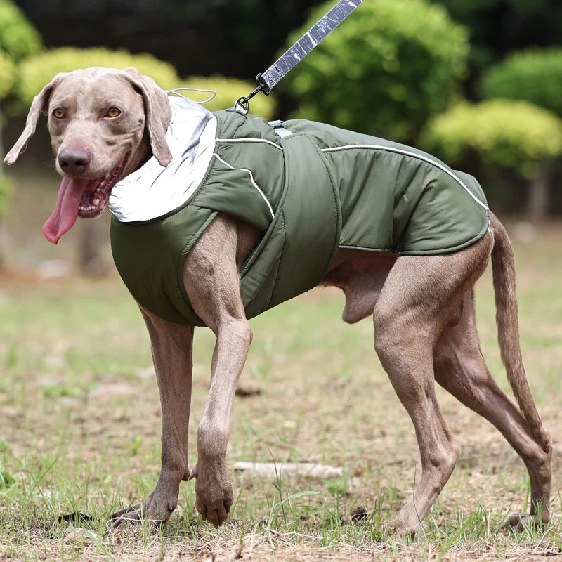 Luxury Classical Polyester Dog Jacket – Warm and Adjustable Winter Coat