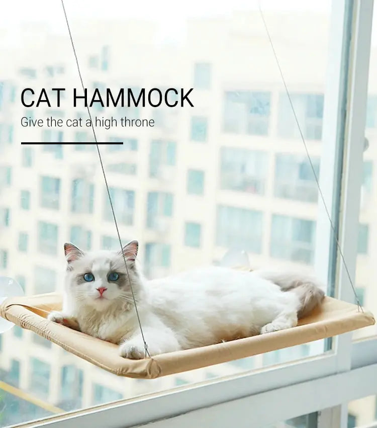 Suction Cup Hanging Cat Hammock