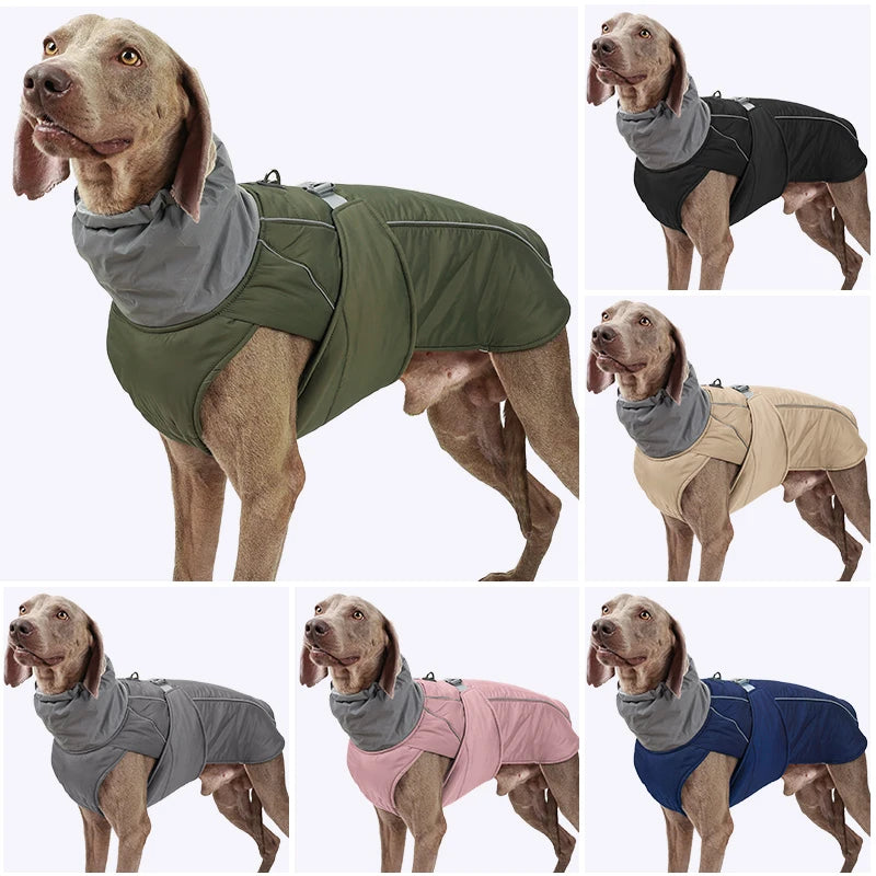 Luxury Classical Polyester Dog Jacket – Warm and Adjustable Winter Coat