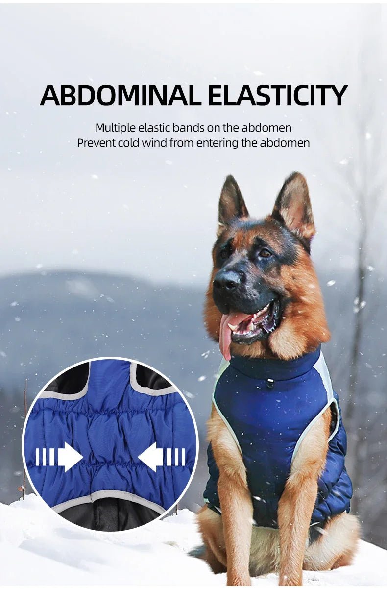 Big Dog Waterproof Winter Jacket