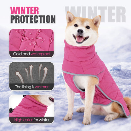 Winter Dog Coat with Traction Buckle Waterproof Windproof