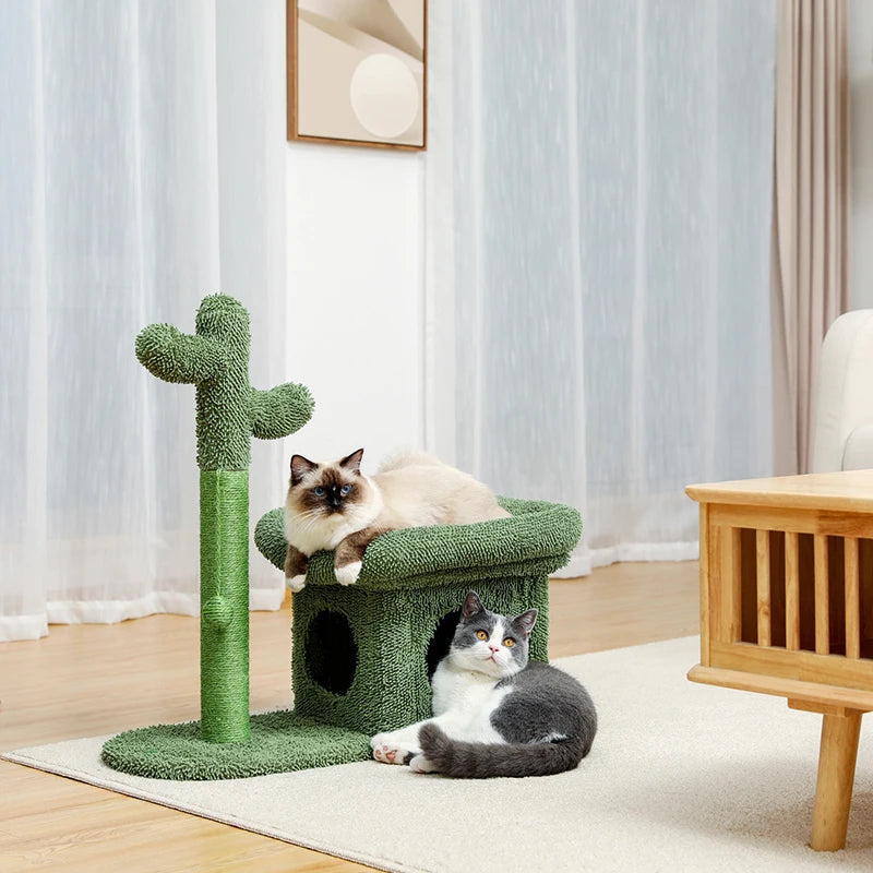 Best Cat Tree Tower Furniture with Hammock Small Cactus Mushroom