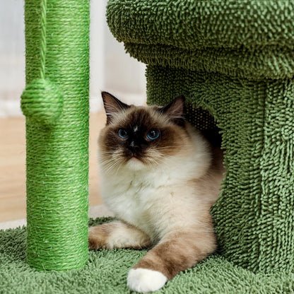 Best Cat Tree Tower Furniture with Hammock Small Cactus Mushroom