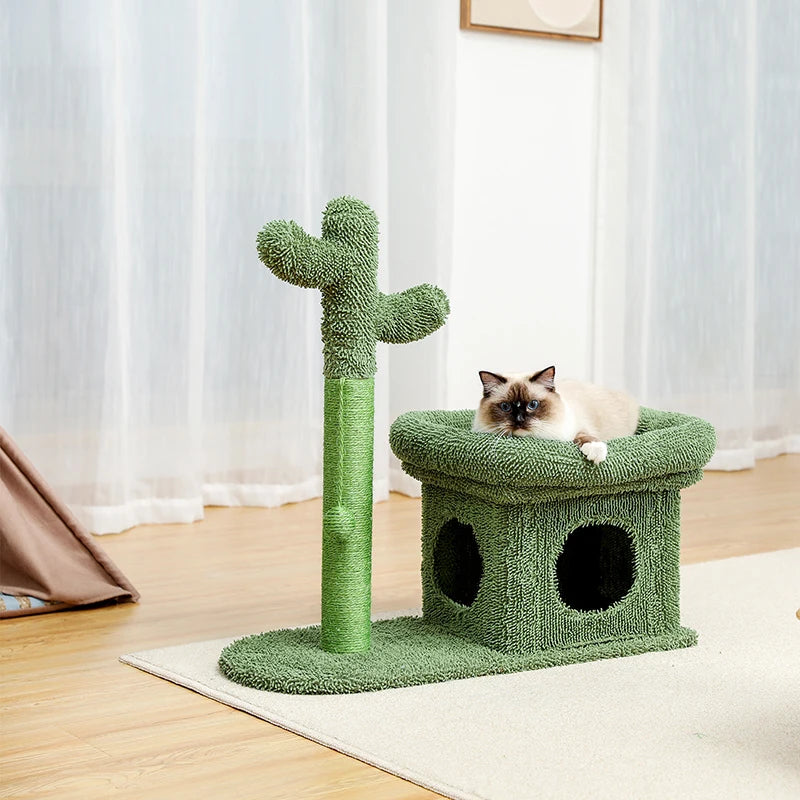 Best Cat Tree Tower Furniture with Hammock Small Cactus Mushroom