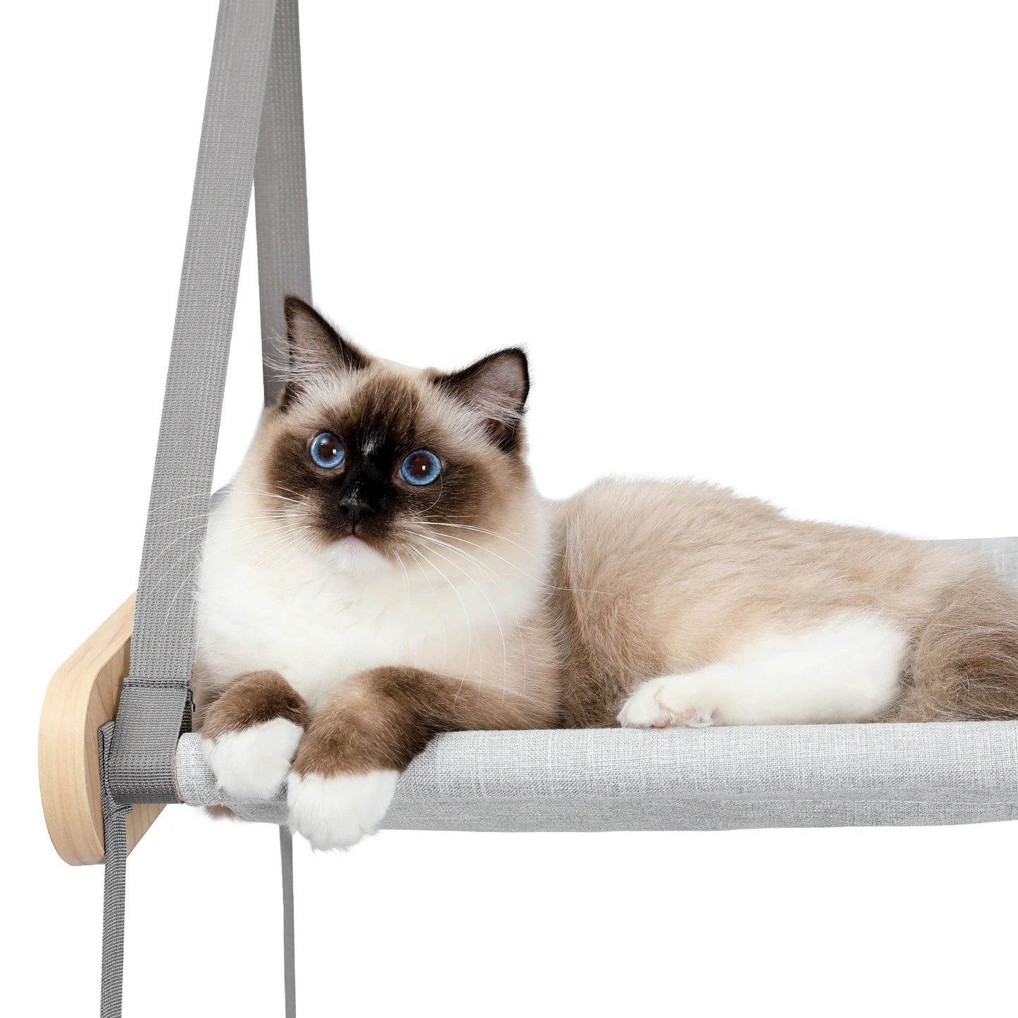 Luxury Cat Window Hammock – Double-Layer Perch Bed for Cats