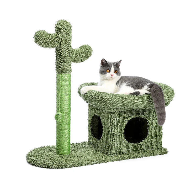 Best Cat Tree Tower Furniture with Hammock Small Cactus Mushroom