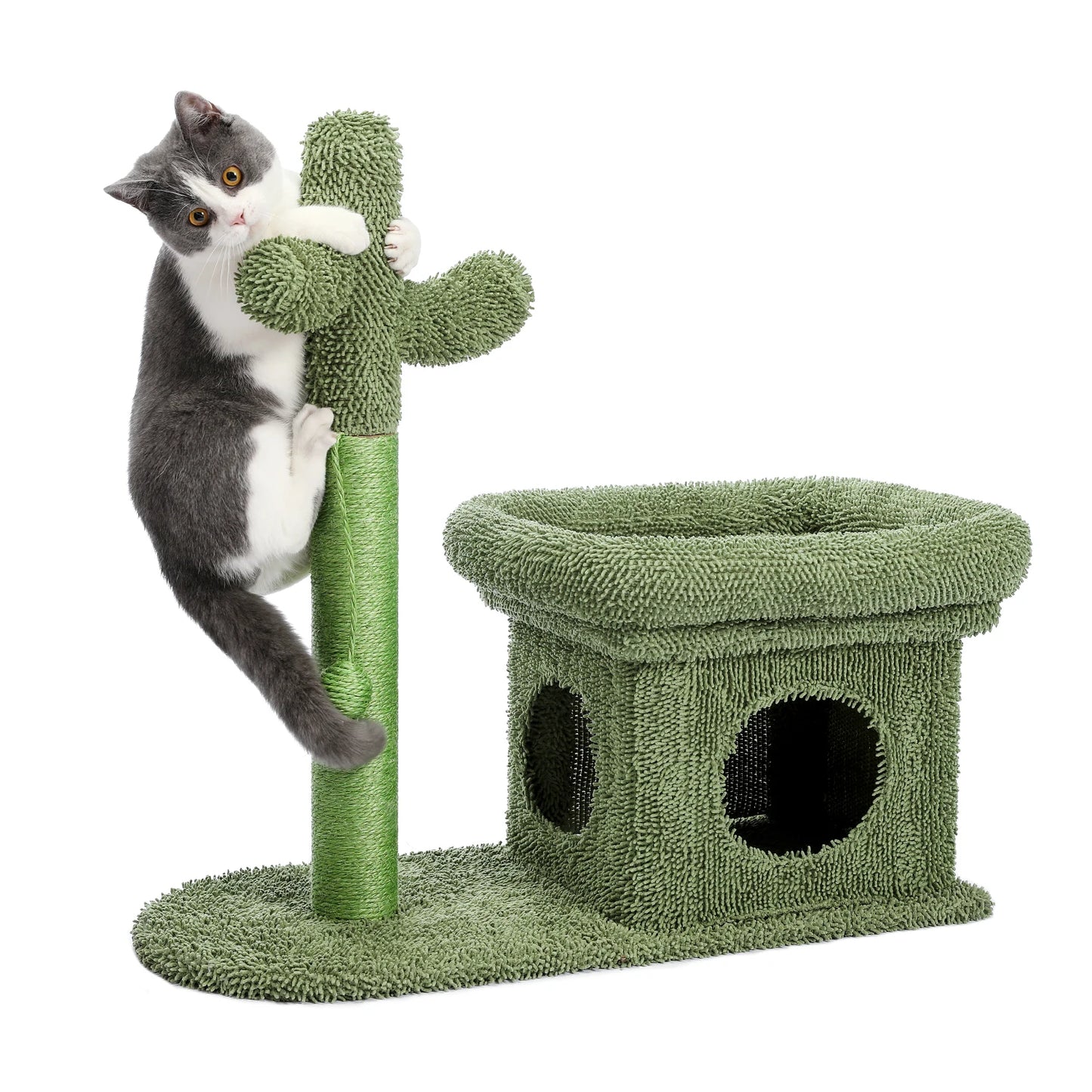 Best Cat Tree Tower Furniture with Hammock Small Cactus Mushroom